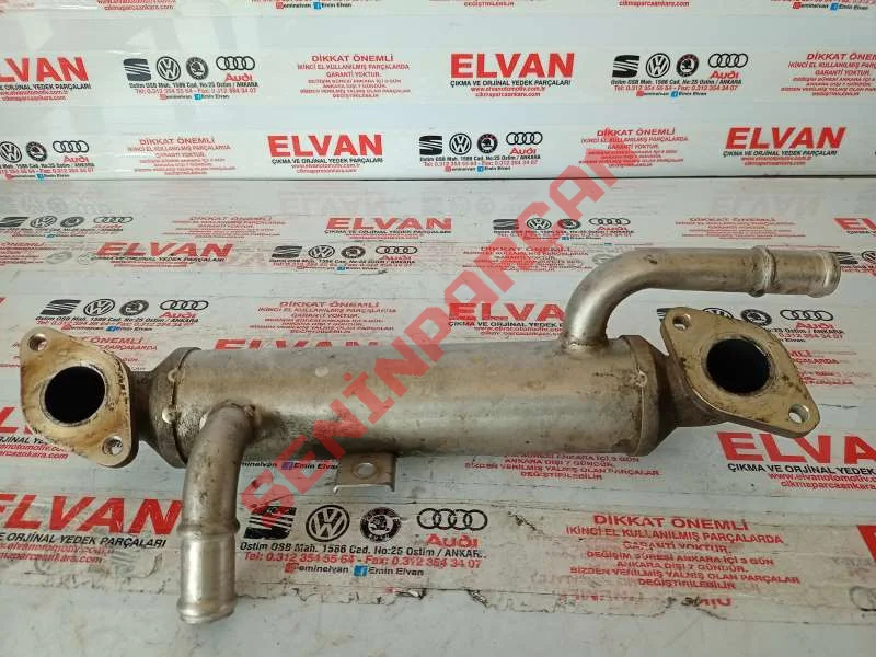 038131513P - EGZOSGAZISOGUTUCUSU