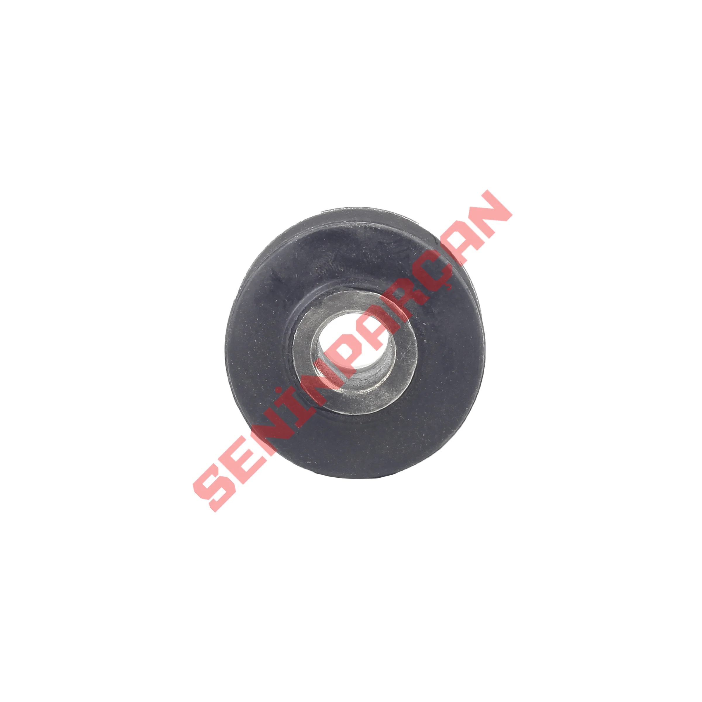 7H0407183 - SALINCAK BURCU ON TRANSPORTER 2003-2011